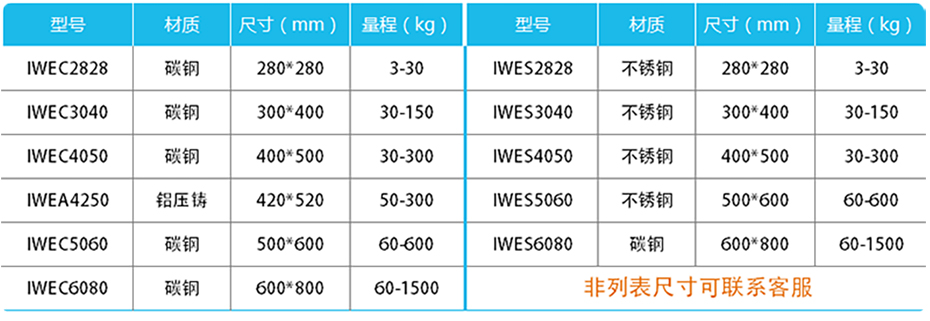 精度計重臺秤-IWE產(chǎn)品參數(shù)